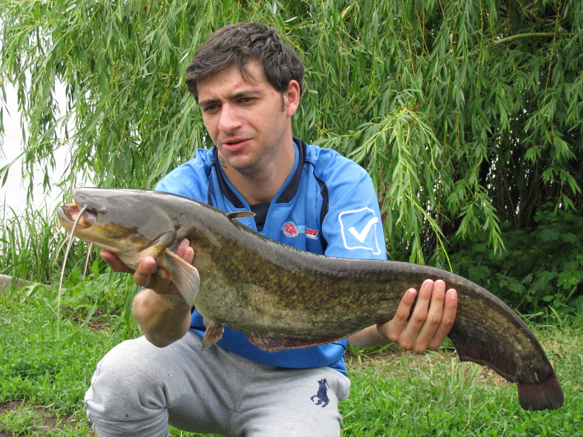 Poze 19-21.05.2012 Tancabesti Avicola 2 - img0162.JPG